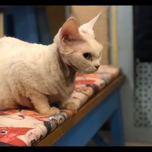 Meet your Posher, Judy